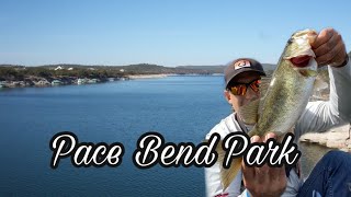 Pace Bend park fishing for bass