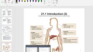 Chapter 21 Amino Acids, Proteins, and EnzymesLesson 1 GOB 2