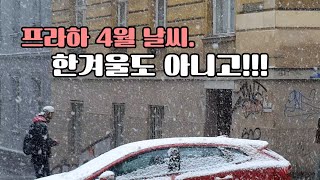 #체코날씨 #4월 #현타 체코 4월 날씨, 폭설?!