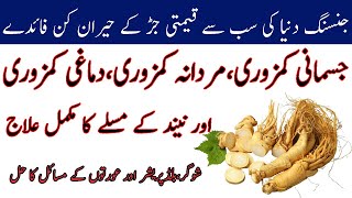 The Benefits of Ginseng in urdu | ginseng ke fayde | Ginseng Booti Benefits | How to Use Ginseng