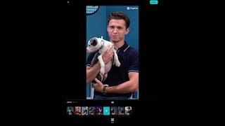 Tom Holland edit |dogs🐶❤️|