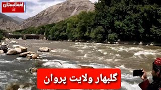 گلبهار ولایت زیبای پروان افغانستان ❤❤