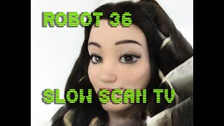 0092 Toonify SSTV Robot36