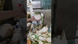 Automatic coconut peeling machine