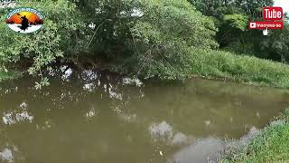 FOI MUITO SOFRIDO, MAS CONHECI UM LAGO MUITO BACANA EM GOIANIA