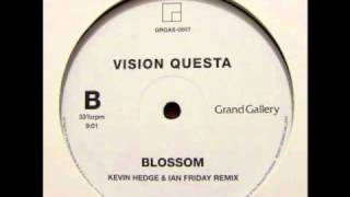 Vision Questa - Blossom (Kevin Hedge & Ian Friday Remix)