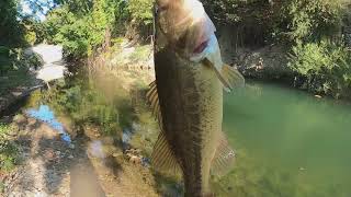 Six Bass in just over an hour at the creek