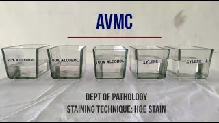 Hematoxylin & Eosin Staining  Procedure, Principle with Video Lecture