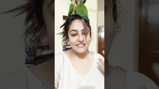 Birds ko happy kaise rakhe? #shorts #minivlog #mypet #parrot #conure #happybirds #petslover #love