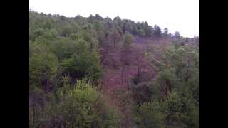 Hunting AREA  Lovna zona 001