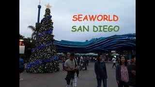 Christmas Time at SeaWorld San Diego