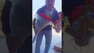 💌 Valentine's Day Surprise Gift Caught on Arlo Smart Video Doorbell #CaughtOnCamera #ValentinesDay 💝