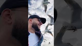 طير في السماء ، وملوش عنوان🕊🤍🎥 mohammed_asal