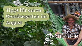 Tipps für euren Gemüsegarten im August