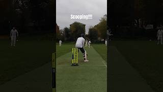 He timed this shot well!#cricket #cricketbatting