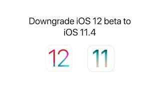 How to Downgrade iOS 12 beta to iOS 11.4.1