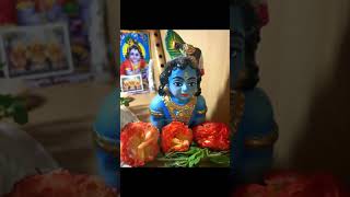 கிருஷ்ண ஜெயந்தி 2024 l எளிய முறை வழிபாடு | Krishna Jayanthi | Gokulashtami #shorts #shortsfeed