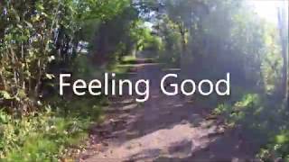 Feeling Good (Instrumental).