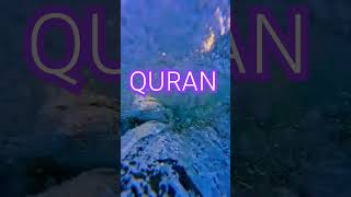 Surah baqarah Ayat no 229 urdu translation #shortvideo#viral #shorts#reels