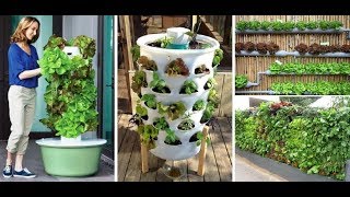 Home Vegetable Garden Ideas | Home Garden Ideas Vegetable