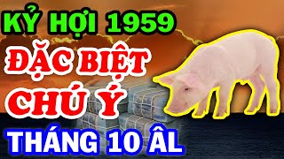 3 Bí Mật Chấn Động Tuổi Kỷ Hợi 1959  Hưởng Lộc Giàu To Tiền Về Như Lũ T.10 ÂL