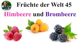 Früchte der Welt 45 – Himbeeren und Brombeeren Pflanzliche Rohkost Fruchtkost