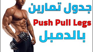 افضل جدول تمارين بتقنية Push Pull Legs في البيت للمبتدئين