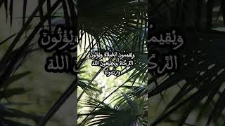 سُورَةُ التَّوۡبَةِ - القارئ محمود علي البنا #سورة_التوبة #محمود_البنا