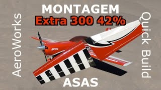 Montagem Extra 300 42% - Asas