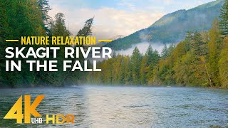 Skagit River in Late Fall - 4K HDR Autumn Beauty of Mountain River in North Cascades + Nature Sounds