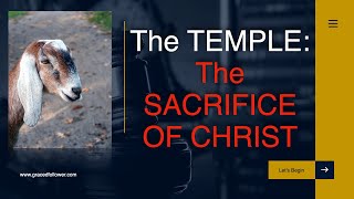 The Temple and the Gospel - Pointing to Jesus