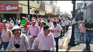 Marcha de ciudadanos en Colima en defensa del INE