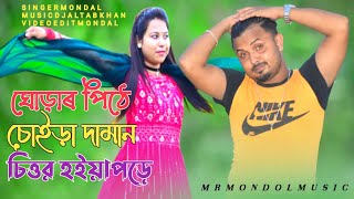 ঘোড়ার পিঠে চোইড়া দামান চিত্তর হইয়াপরে