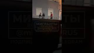 Русский заземлил гастарбайтера