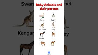 Baby Animals and their parents #explore #englishspeaking #vocabulary #englishpractice #english