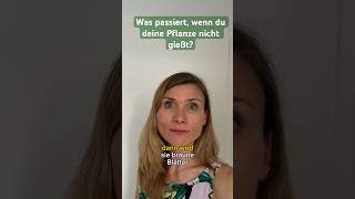 Was passiert, wenn du deine Pflanze nicht gießt? #shorts  #vonnichtskommtnichts #pflanze #frauen