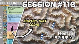 Mastering Coral ID with Coral Finder Guru Russell Kelley | #118