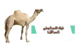 فوائد اللحم الجملي لا تفوت ( لحم الأبل ) 🐪🐫