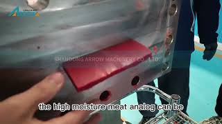 High Moisture Meat Analogue Production Line