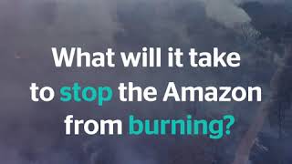 Who's behind the Amazon fires?