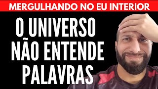 O UNIVERSO NÃO ENTENDE PALAVRAS | Will Nascimentto