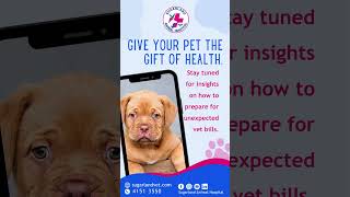 Give your pet a gift of health with the help of #SugarlandAnimalHospital