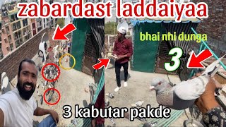 Sehdi k 3 kabutar pakde 😜 300 rupey dana 😛 phir udha diye 🤩 Delhi pigeon lover 🥸 Zabardast ladaiyya