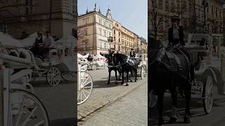 Rynek Główny, Kraków