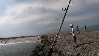 Bluefish blitz - Avalon NJ