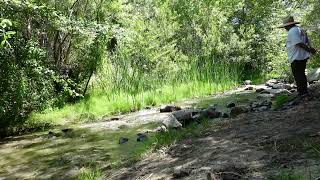 Relaxing ASMR Nature Stream Water Flowing Sounds (VERY CALMING)