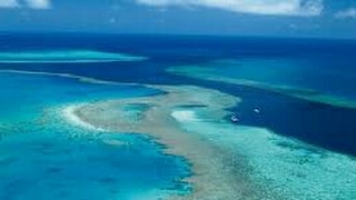 Great Barrier Reef Suffers Huge Coral Reef Dead Due To Climate Change