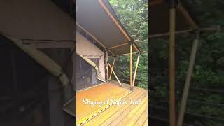 Staying At Glamping Tent - Airbnb #accommodation