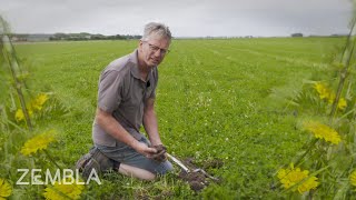 Van landbouwgif naar wilde bloemen - deze bollenteler veranderde radicaal van werkwijze