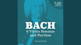 Violin Partita No. 1 in B Minor, BWV 1002: VI. Double